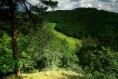 /album/landscape/berounka/