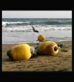 /album/objects/a25-jpg/