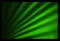 /album/macro/u8-jpg/