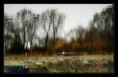 /album/reflex/a3u5q6286-jpg/