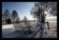 /album/landscape/a3u5q4533-jpg/