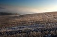 /album/landscape/a3u5q4495a-jpg/